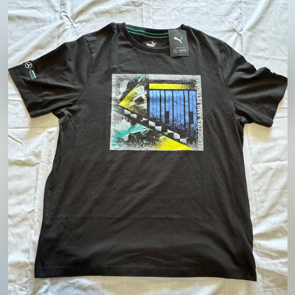 Mercedes F1 Graphic Men's Regular Fit T-Shirt